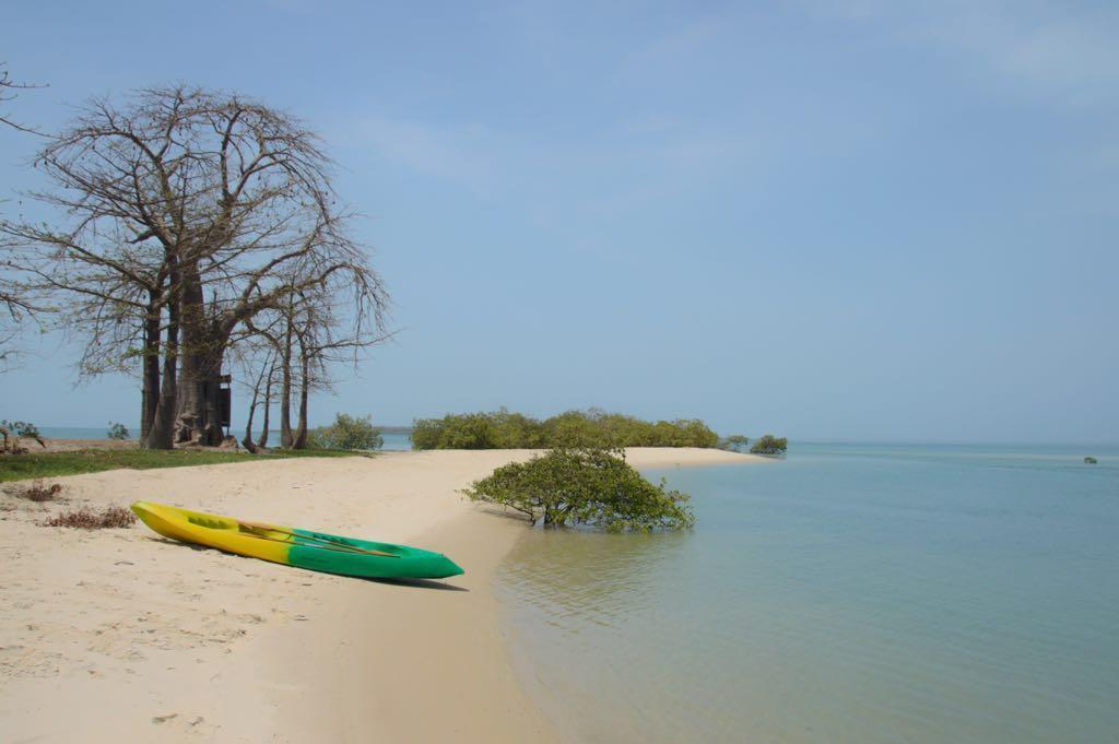 African Ecolodge Angurman Bruce ภายนอก รูปภาพ